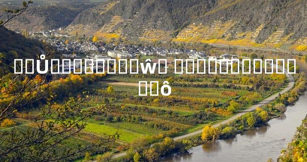 ��Ů��������ŵ� ����ȫ���ﶼ˵��ʲô